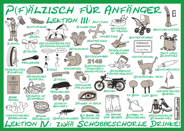 Pfälzisch für Anfänger III - IV Postkarte