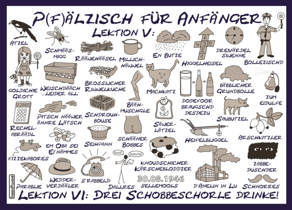 Pfälzisch für Anfänger V - VI Postkarte