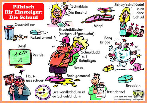 Pälzisch für Einsteiger: Die Schuul - Postkarte, Pfälzisch Shop