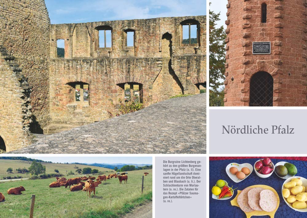 Historische Pfade - Pfalz Wanderführer, Nord Pfalz