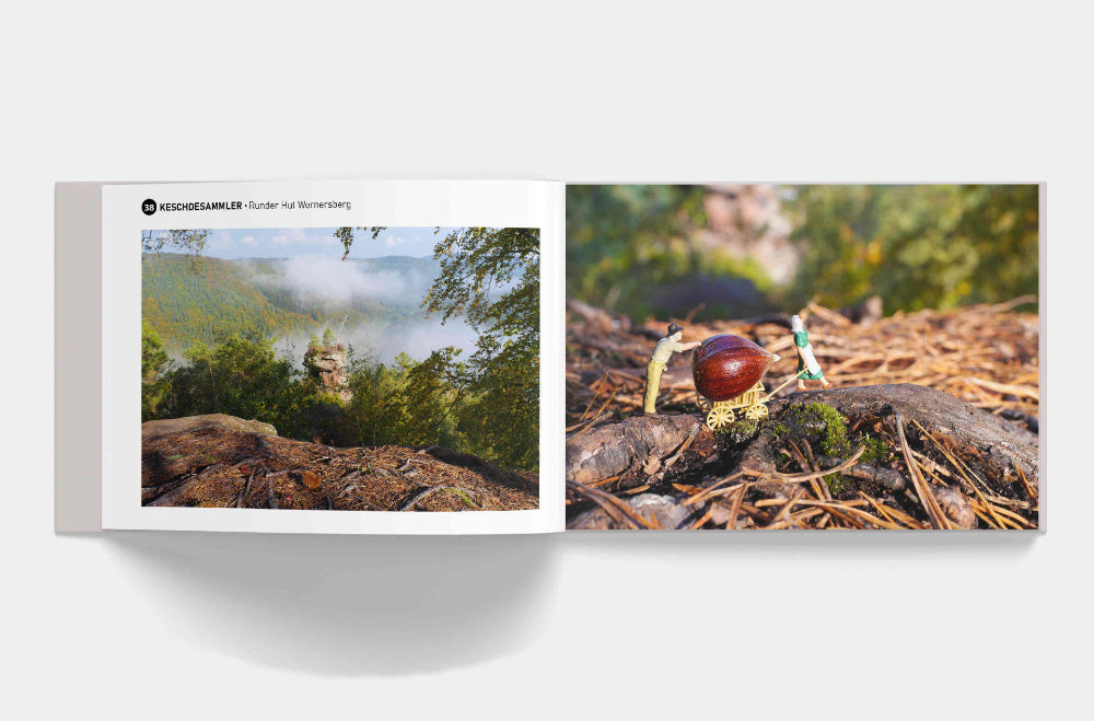 Little Pfalz - Winzlinge entdecken die Pfalz (Buch)