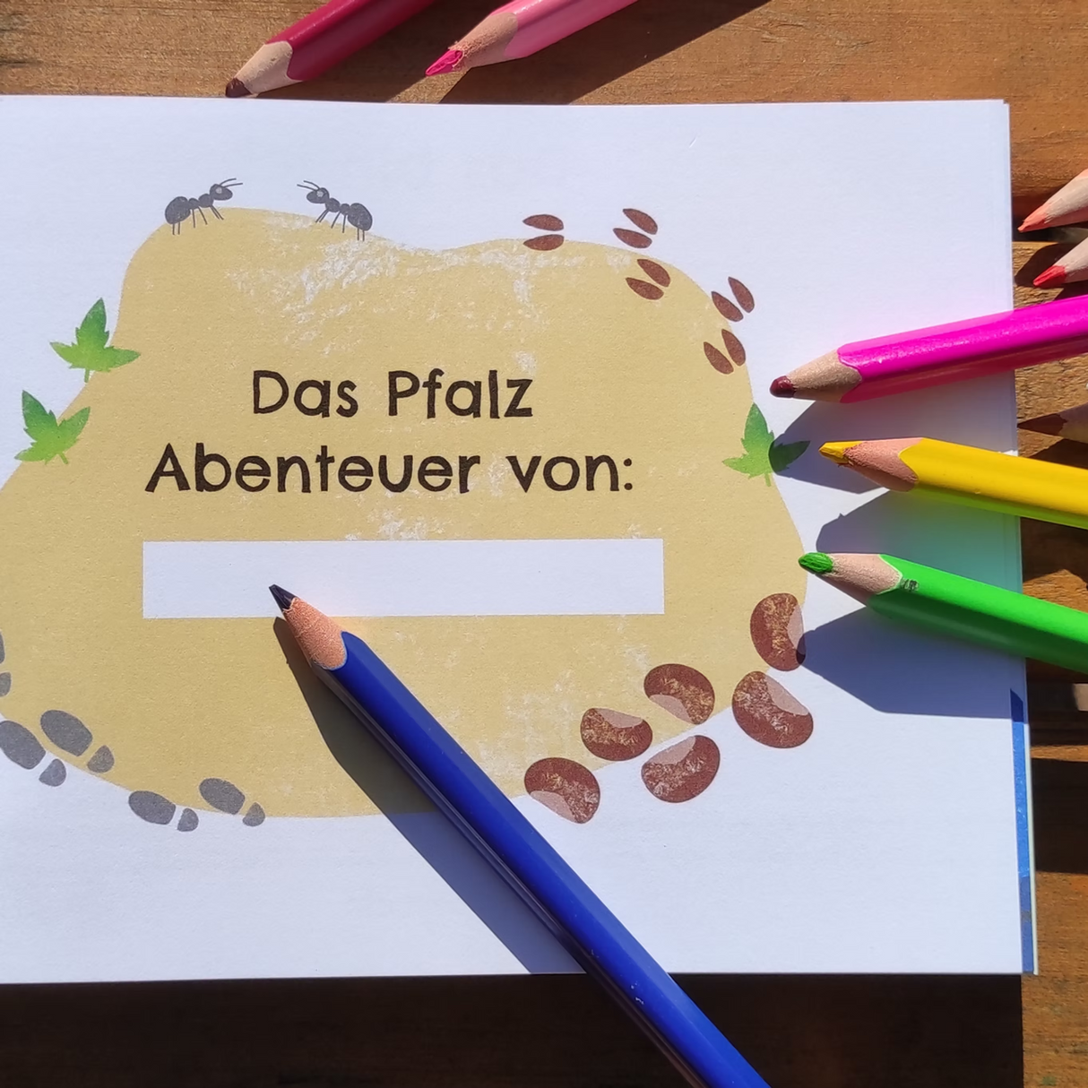 Mein Pfalz Abenteuer, das Mitmachbuch für Kinder - Pfalz mit Kids Band 1