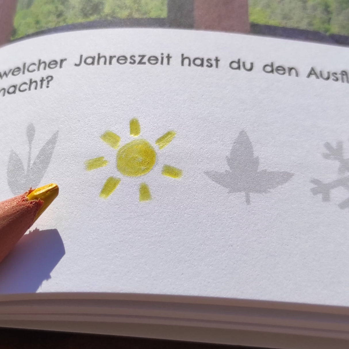Mein Pfalz Abenteuer, das Mitmachbuch für Kinder - Pfalz mit Kids Band 1