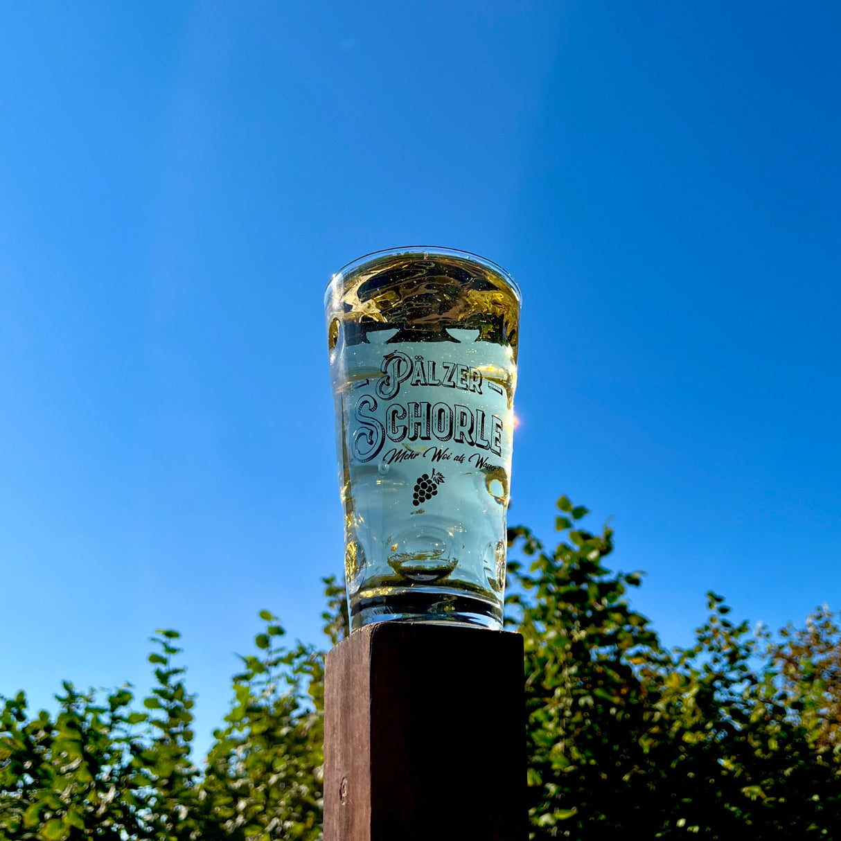 Pfälzer Schorle Dubbeglas 0,5 L