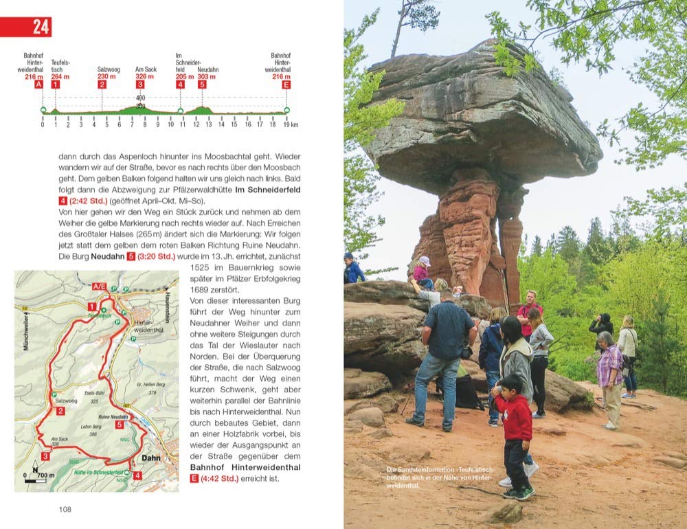 Pfälzerwald & Bienwald Wanderführer - Teufelstisch