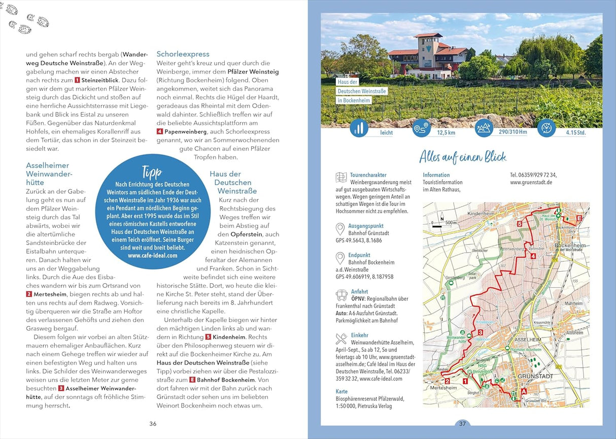 Hütten-Geheimtipps Pfälzerwald - Wanderführer, Pfälzer Weinsteig