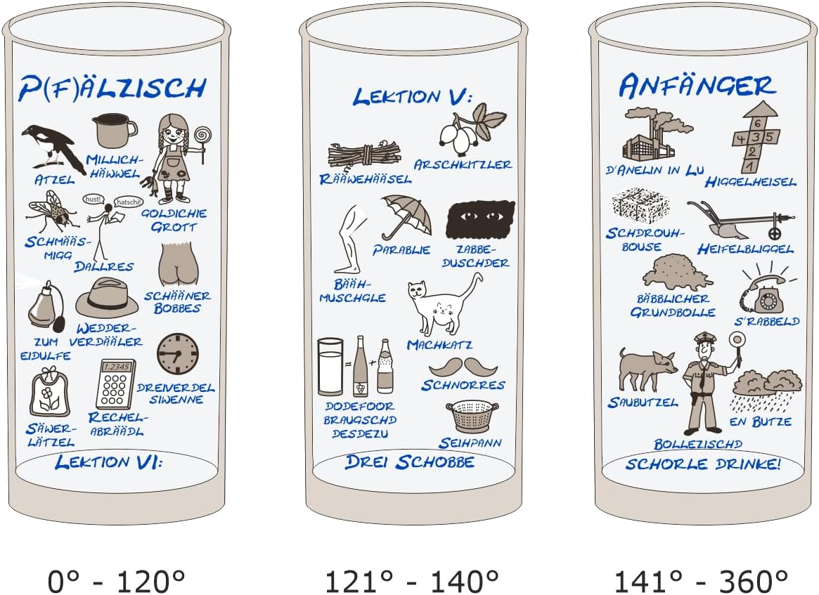 Pfälzisch für Anfänger V - VI Schoppenglas 0,5 L - von allen Seiten