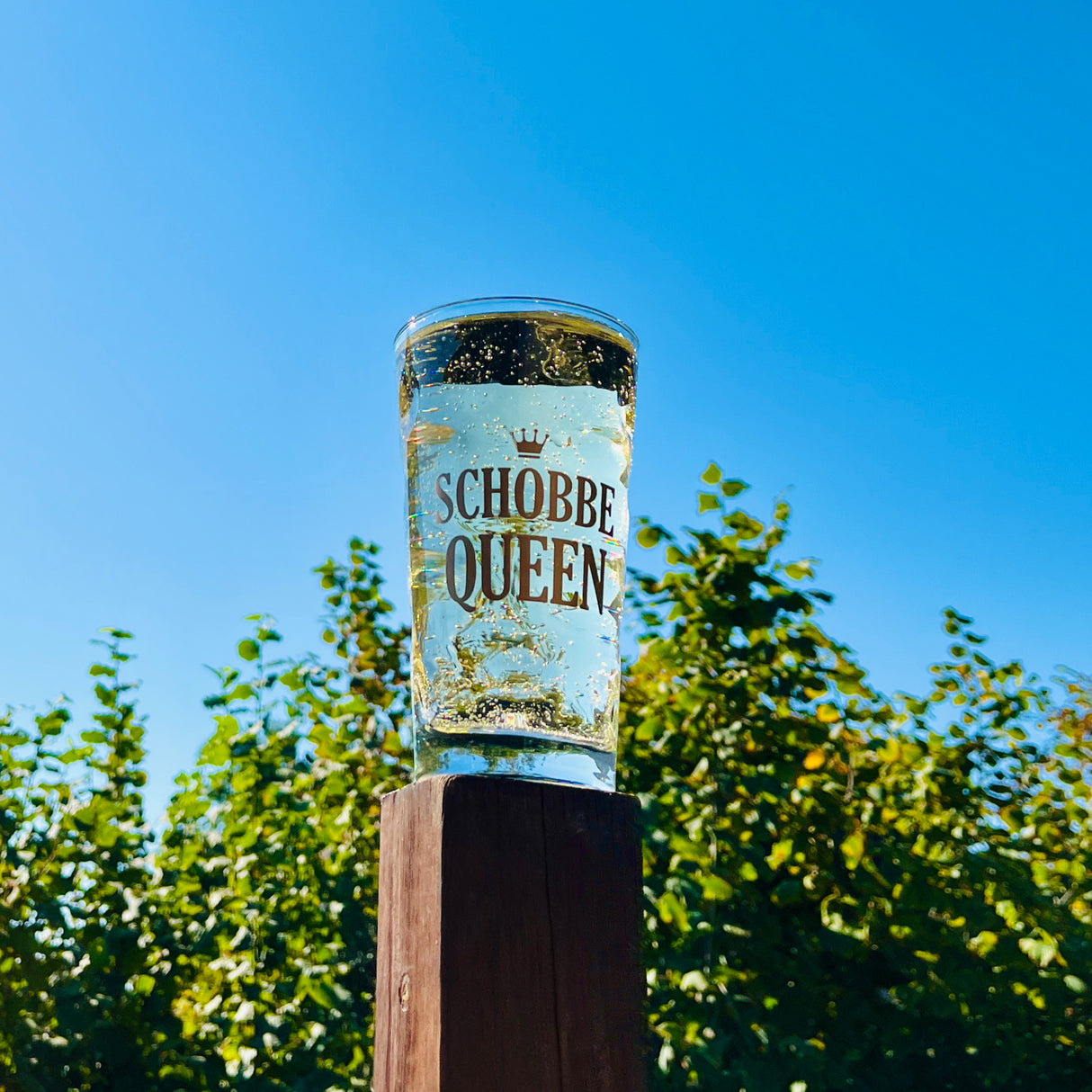 Schobbe Queen 0,5 L Dubbeglas mit Pfälzer Schorle