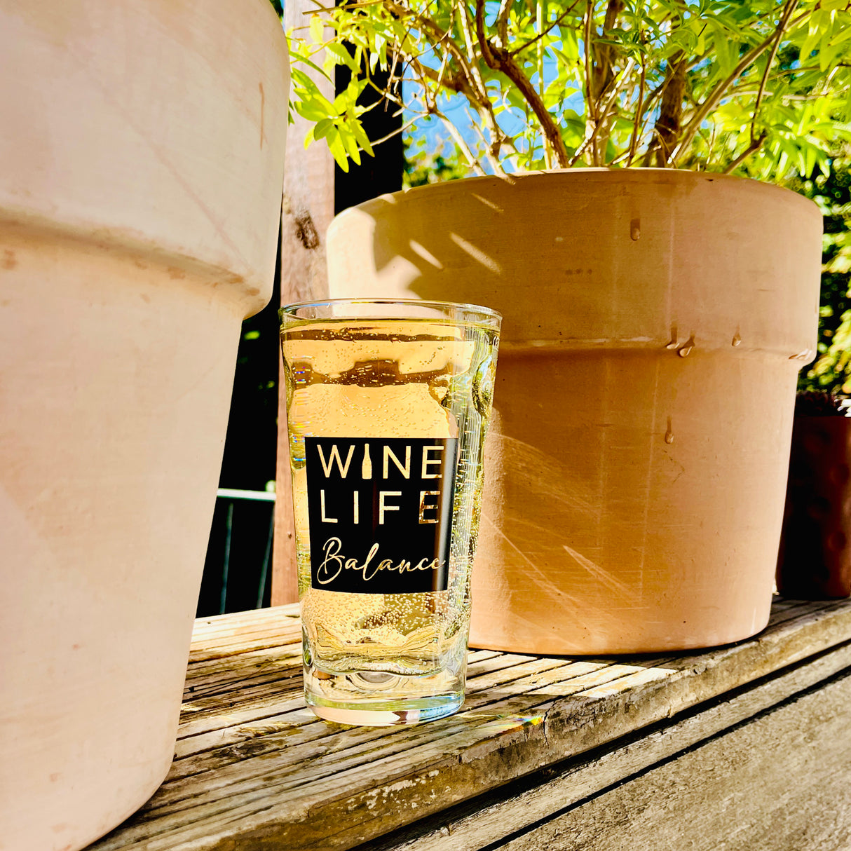 Wine Life Balance 0,5 L Dubbeglas mit Pfälzer Schorle