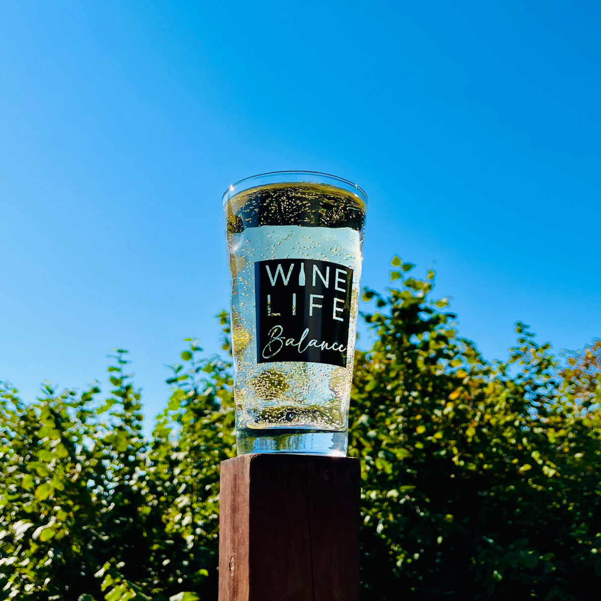 Wine Life Balance 0,5 L Dubbeglas mit Pfälzer Rieslingschorle