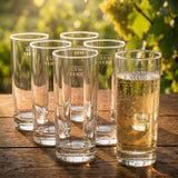 Pfälzer Genuss im Glas – 6 klare Schoppengläser mit 0,5 L Fassungsvermögen für echte Weinschorlen.