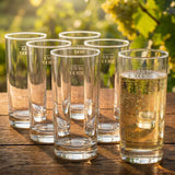 Pfälzer Genuss im Glas – 6 klare Schoppengläser mit 0,5 L Fassungsvermögen für echte Weinschorlen