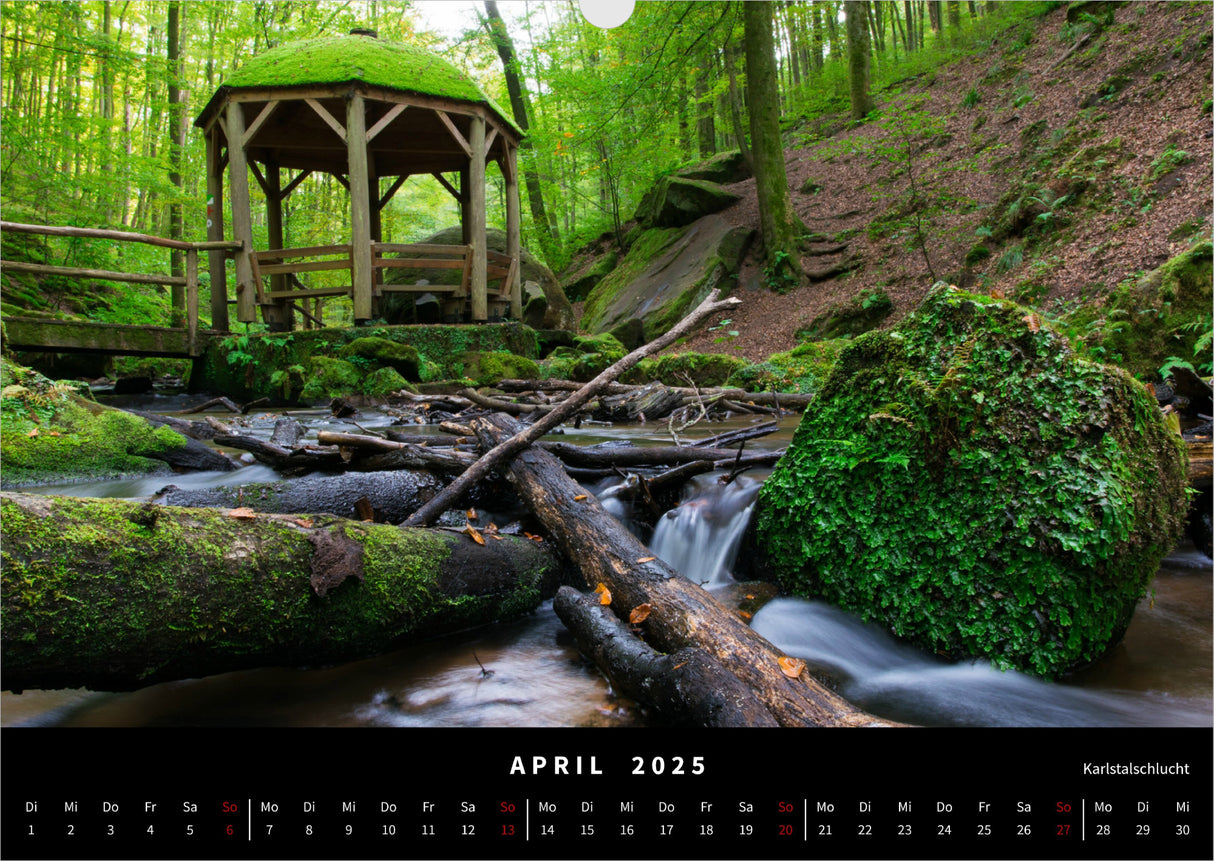 Naturwunder Pfalz Kalender 2025 - April