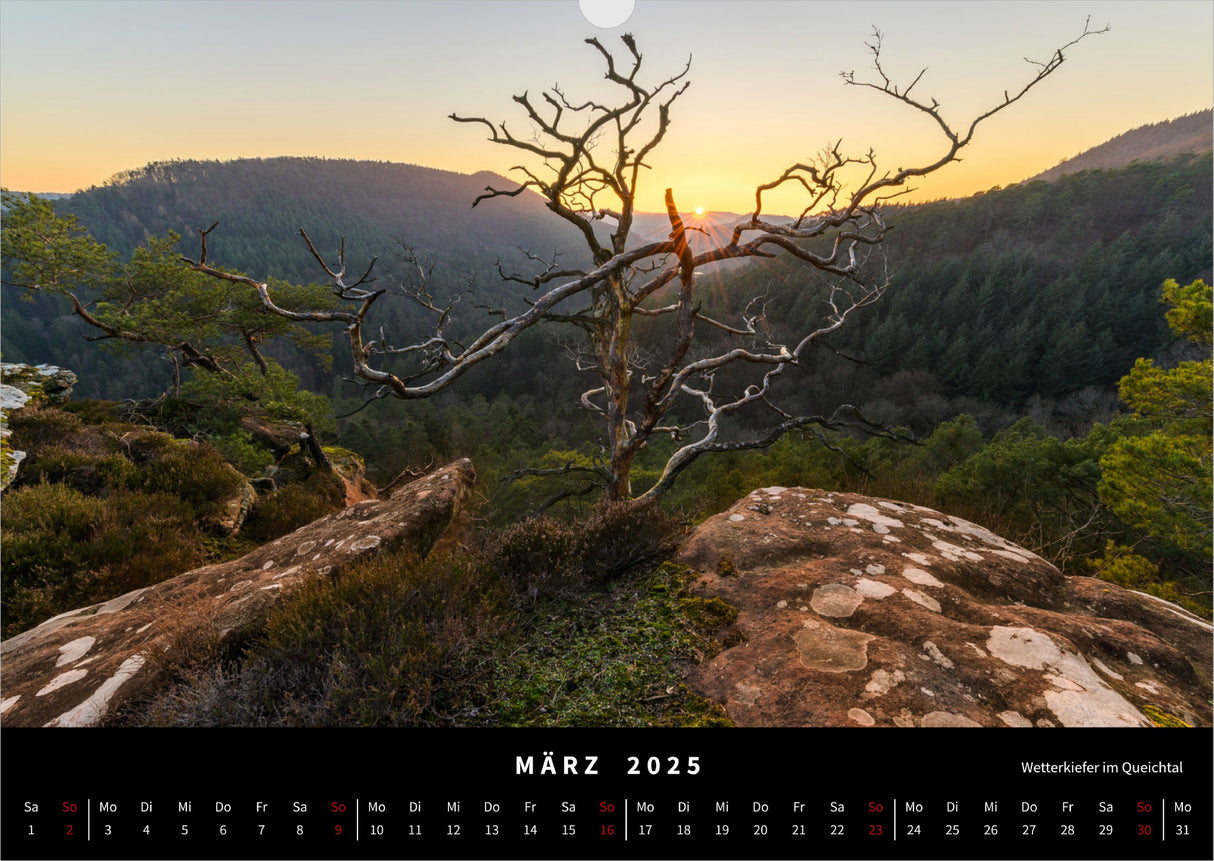 Naturwunder Pfalz Kalender 2025 - März