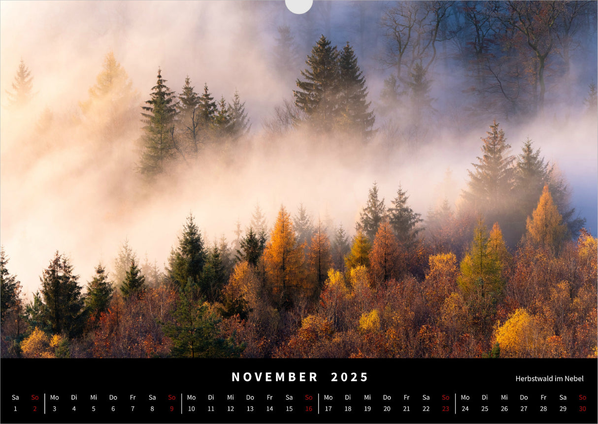Naturwunder Pfalz Kalender 2025 - November