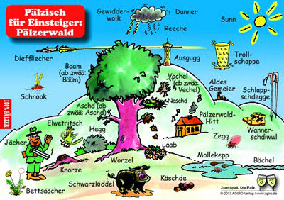 Pfälzisch für Einsteiger: Pfälzerwald - Postkarte, Pfalz Shop