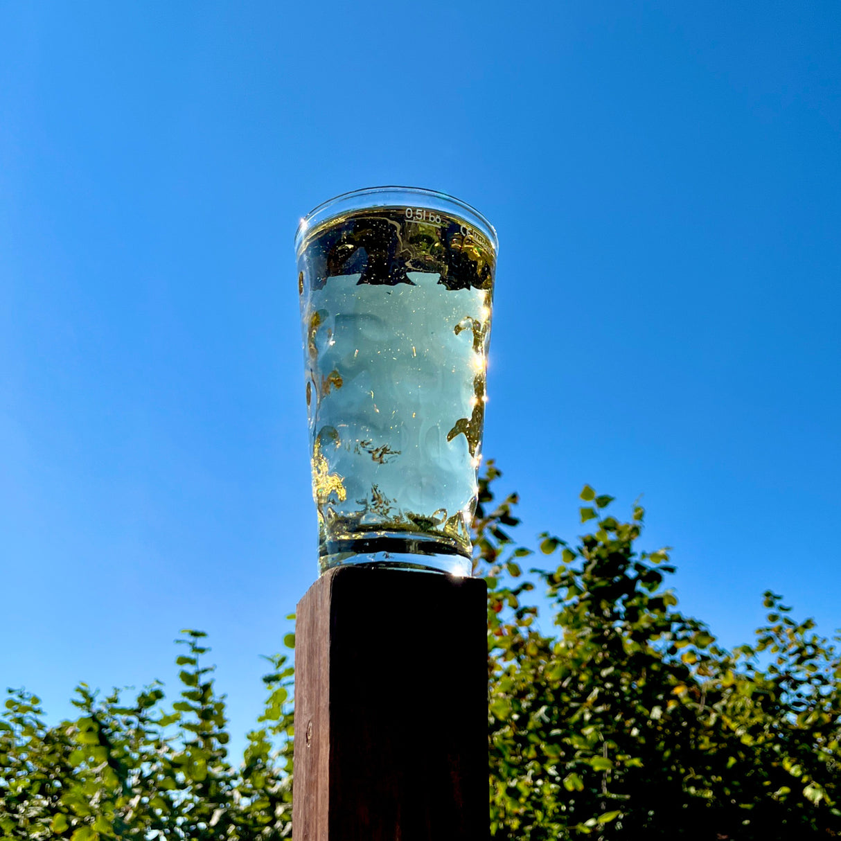 0,5 L Dubbeglas mit Pfälzer Rieslingschorle